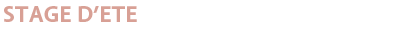 Stage d'été